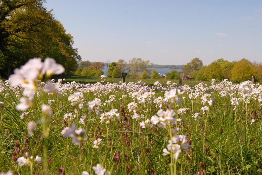 Ferienhaus Uklei Sielbeck ภายนอก รูปภาพ